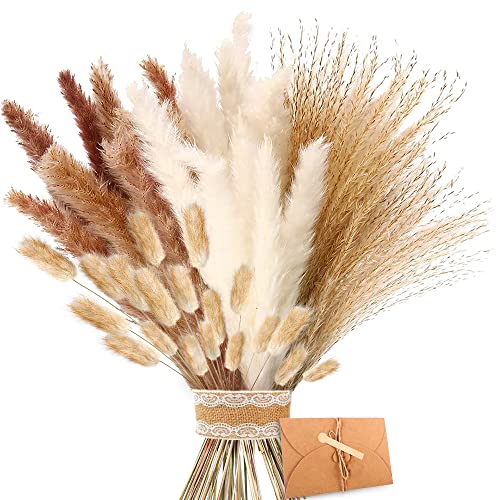 ZJTAPE Pampas Secas Decoracion - Hierba Natural de Pampas Secas,