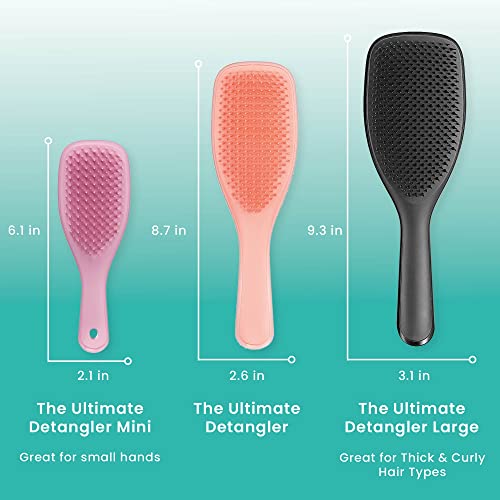Tangle Teezer | The Wet Detangler Hairbrush For Wet & Dry Hair | For All Hair Types | Eliminates Knots & Reduces Breakage | Blush Glow Frost #TOP4