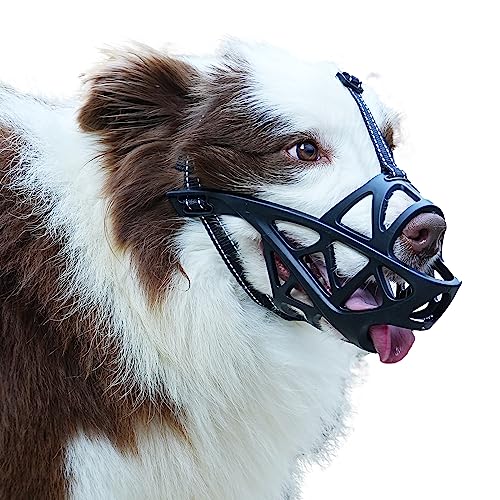 Find The Best Muzzle For Aggressive Dogs Reviews & Comparison Katynel