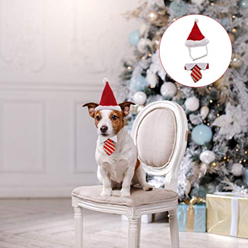 UKCOCO Conjunto de 2 PeÃ§as de Fantasia de Animal de EstimaÃ§Ã£o de Natal para CÃ£es de EstimaÃ§Ã£o