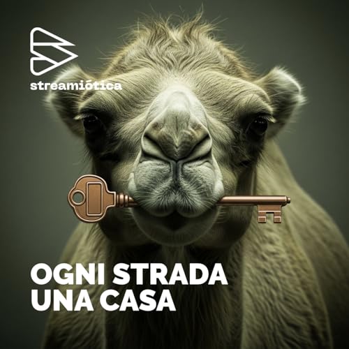 Ogni strada una casa copertina