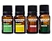 Elevation Terpenes Energy Pack Four Pack (D-Limonene, Humulene, Alpha-Pinene, Orange-Oil Valencene)