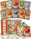 ZenGreens® - Bio Kürbissamen im 12er Set - 12 Kürbis Samen für den einfachen Anbau im Garten, Balkon oder Hochbeet - Pflanzensamen - Saatgut