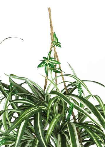 Nearly Natural 6607 Spider Hanging Basket Decorative Silk Plant, Green,10.25" x 10.25" x 17.5"