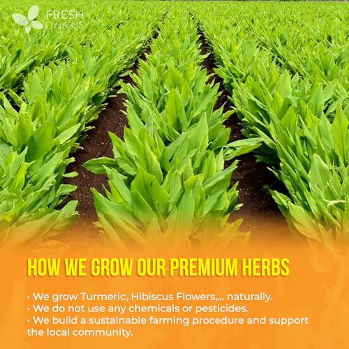 Image of FreshDrinkUS, Premium Harmony Herbal Tea | 60 Tea bags | 100% Natural Turmeric, Hibiscus, Ashwagandha, Goji Berry, Reishi, Cinnamon & Orange Peel - Naturally Aromatic Caffeine-Free Tea