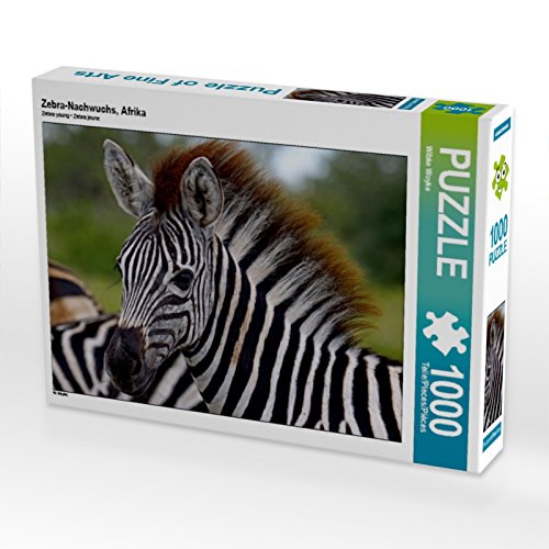 Puzzle de progéniture zèbre Africain 1000 pièces CALVENDO Wibke Woyke 64x48cm