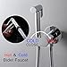 Handheld Bidet Sprayer for Toilet Hot and Cold Water Baby Cloth Diaper Sprayer Wall Mounted Brass Toilet Sprayer High Pressure Handheld Sprayer Kit for Personal Hygiene Cleaning,Black (Color : Chrome