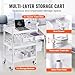 VEVOR Medical Mobile Trolley Cart with 2 Drawers & 3 Trash Cans, 3 Tiers Beauty Salon Rolling Trolley with 4 Silent Wheels & 2 Dirts Bucket & Bowl, Medical Utility Cart for Hospital Dental Clinic Lab