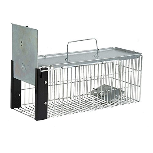 Copele 90217 Käfig Ratten, Metallisch