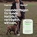 Planimol Gastro — Magentabletten für Hunde — 100% natürlich — unterstützt bei empfindlichem Magen, Sodbrennen, Erbrechen & Grasfressen — unterstützt Magenschleimhaut & Säurebalance — 90 Tabletten