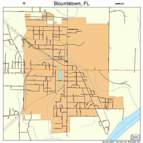 Large Street & Road Map of Blountstown, Florida FL Printed poster