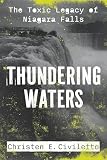 Thundering Waters: The Toxic Legacy of Niagara Falls