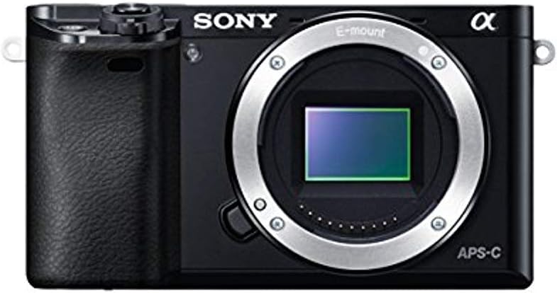 Sony Alpha a6000 Mirrorless Camera