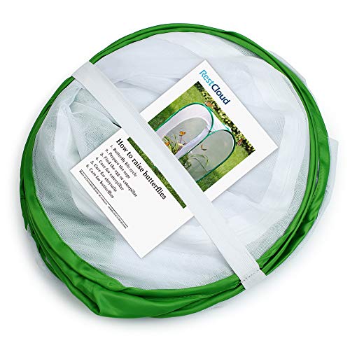 image for RESTCLOUD 36