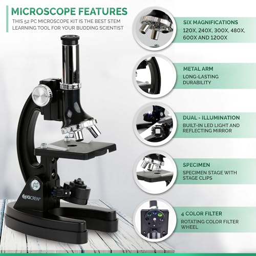 Image of IQCrew By AMSCOPE KIDS - Black Metal Arm Starter Kids Student Compound Microscope Kit with Fossil Dig Activity Kit and Insect Slides