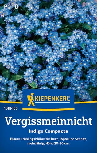 Kiepenkerl Vergissmeinnichtsamen Indigo Compacta 1018400 - Pflegeleichte Vergissmeinnicht-Samen für Blumenwiese Essbare Blüten Ideal für Gärtner Mehrjährig