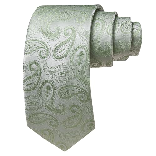 Image of Barry.Wang Paisley Tie for Men Silk Woven Necktie and Tie Clip Set Wedding Party Business Formal