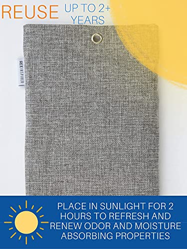 Bamboo Charcoal Air Purifying Bag | 2 Heavy-Duty, Large Flat (2X350G) Charcoal Bags Odor Absorber | Activated Bamboo Charcoal Bags | Odor Eliminator For Strong Odor| Charcoal Odor Absorber #TOP3