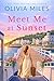 Meet Me at Sunset (Evening Island)