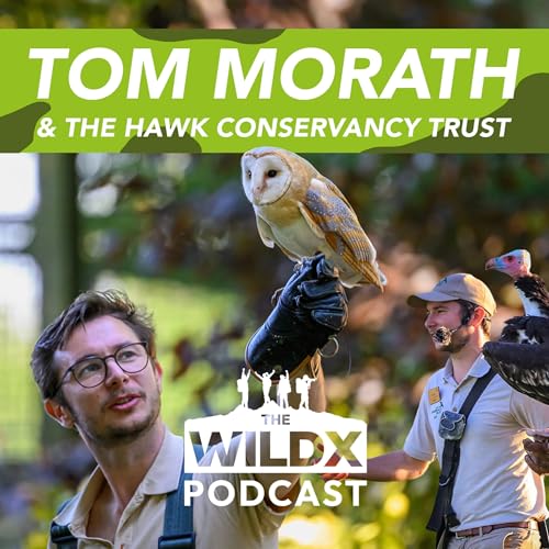 Episode 41 - TOM MORATH - & The Hawk Conservancy Trust