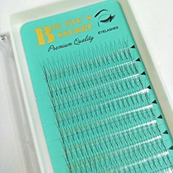 New Fashionable Short Stem 2D Premade Volume Fans Eyelash Extensions 12-15mm 0.07 D-Curl Eyelashes for Makeup and Beauty Large Quantities In Stock Support Customization (12mm)