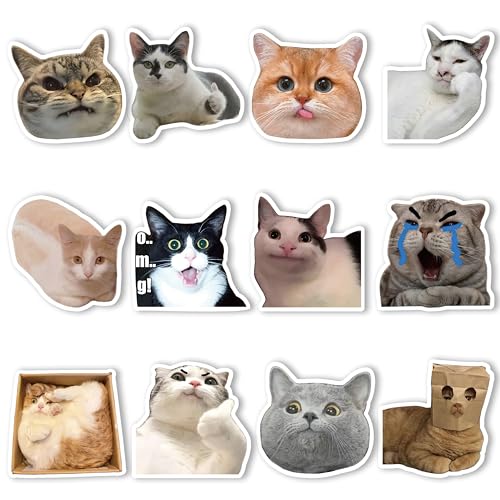 12 imanes decorativos redondos de gato divertido