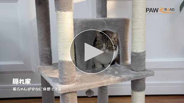 Amazon | PAWZ Road キャットタワー 大型猫用 スリム 多頭飼い