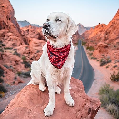 Image of Wilderdog Dog Bandana with Lightweight Quick Drying Poly-Blend Mesh Material in Rodeo