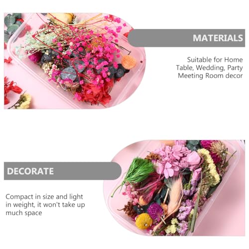 Flores Secas Naturales DIY para Jabón y Velas, 6 Cajas miniatura 7