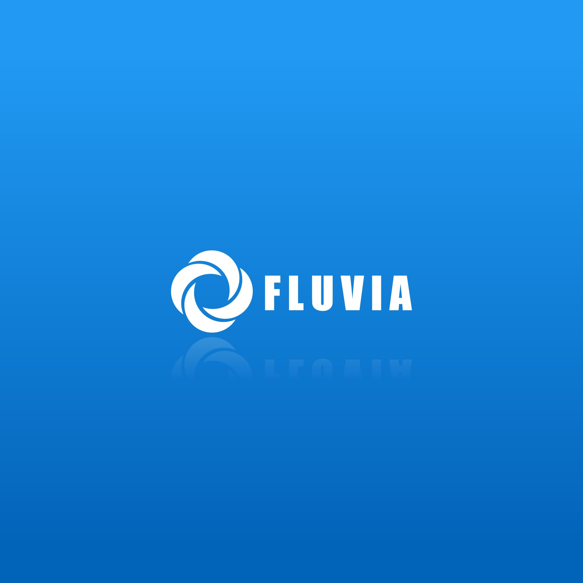 Fluvia Limpiafondos de Aluminio para Piscinas con 4 Ruedas Cepillos de Nylon Fijacion Palomilla Accesorio Limpieza Fondo Piscina Compatible Pertiga Mantenimiento Piscinas Jardin Patio Hogar Resistente