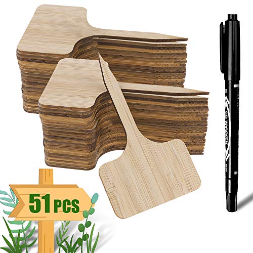 ARPDJK 50Pcs Bambou Étiquettes de Plantes et Un Stylo Marqueur, Tags de Jardin en Bois de T-Type avec Boîte d'emballage, Étiquette de Plante pour Graines D'herbes en Pot Fleurs Légumes (6 x 10 cm)