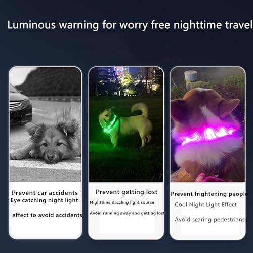 LED Leuchthalsband für Hund - Wasserdicht mit 3 Beleuchtungsmodi - USB Aufladbar - Einstellbare Länge für Kleine und Große Katzen