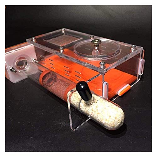 Universal Dunescape 110 Butterfly