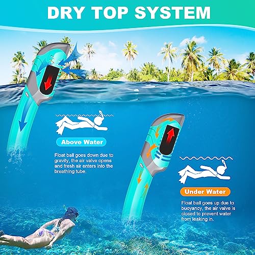 image for Snorkeling Gear for Adults, ZIPOUTE PRO Snorkel Mask Adult Snorkel Set