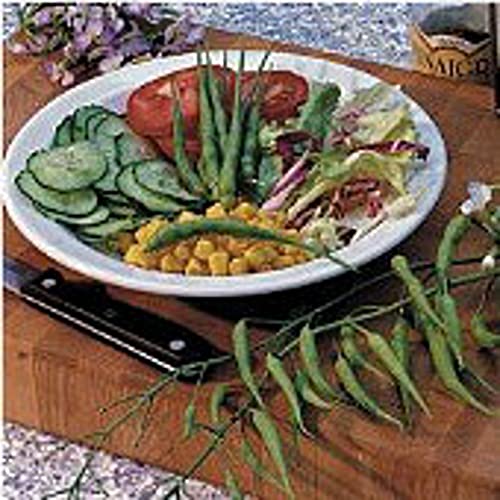 Rat Tail Radishes Seeds (20+ Seeds) | Non GMO | Vegetable Fruit Herb Flower Seeds for Planting | Home Garden Greenhouse Pack