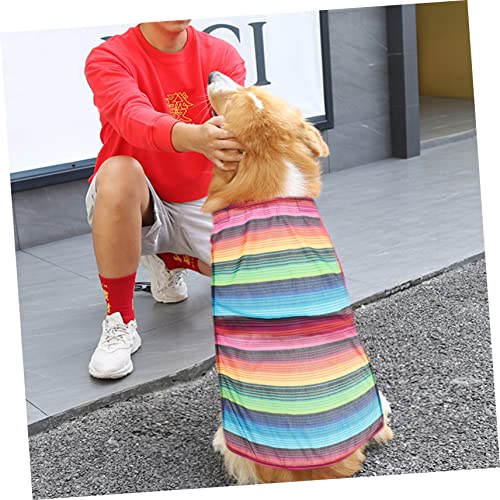 Disfraz poncho mexicano para perros Toyvian miniatura 3