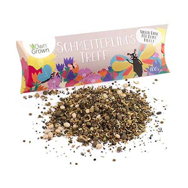 Schmetterlingstreff Blumenmischung: 100g Premium Schmetterling Blumensamen Saatgut - Insektenfreundliches Bienenweide…