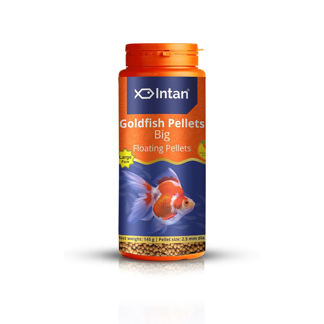 Growel Intan Goldfish Pellets (Big 2.5mm Floating) | 145gm - Highly Nutritious Ornamental Fish Food for all Goldfish - Ryukin, Red Cap, Ranchu & Lionhead-image-46
