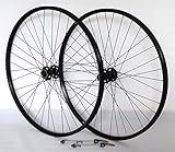 mtb fully deore xt Felge: 622x21 Pro Disc Hohlkammerfelge (622x21 VL8,5 NL4,5) schwarz - geöst - Aluminium