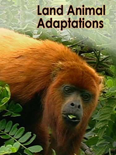 Land Animal Adaptations