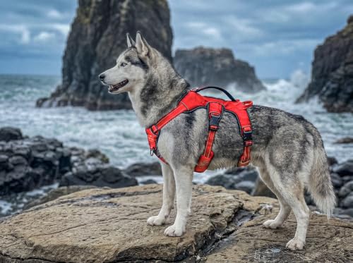 Image of Tracker - No Pull Dog Harness | Front And Back Leash Attachment Points | 3M Reflective Stitching Increases Safety At Night | 5 Point Adjustable Fit Harness For Dogs | Padded Dog Harness For Comfort