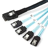 Internal Mini SAS to SATA Cable (SFF-8087 to SATA Forward Breakout) 3.3 Feet(2pack)