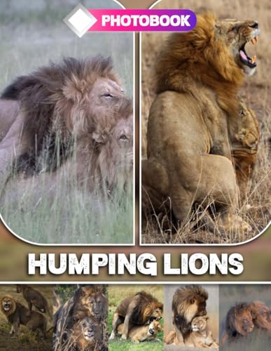 Humping Lions Photo Book: Wild And Awkward Animal Scenes with 30 Bold Nature Moments | Funny Real Life Shots For Adults Who Enjoy Weird Humor