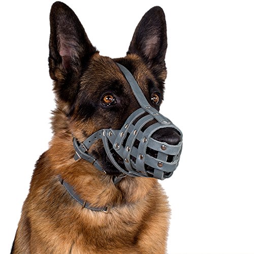 Collardirect Leather Dog Muzzle Doberman German Shepherd Dalmatian Setter Basket Medium Large Breeds Pink Gray (M, Black) #TOP6