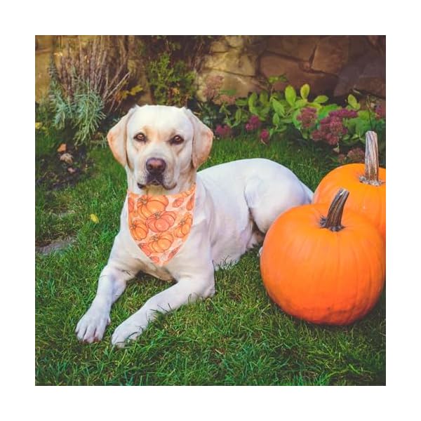 Ptdecor 4 pack thanksgiving dog bandanas fall autumn adjustable pet triangle scarves with turkey leaf pumpkin pattern for large and extra large dogs orange x large  urban country home decor