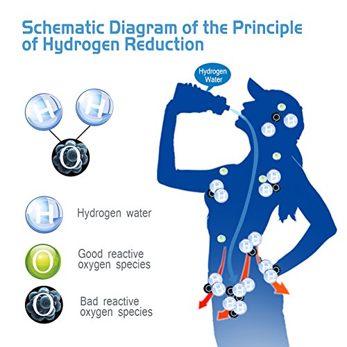 Bottiglia di Acqua Ricca di Idrogeno Bottiglia