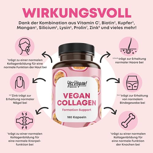 Vegan Collagen (180 Kapseln) mit Aminosäuren, Vitamin A C E, Biotin, Silicium, Zink und Mangan I Pflanzliche Alternative zu Collagen Pulver I Kollagen vegan (1x 180 Kapseln) – Bild 4
