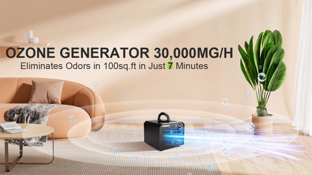 Amazon.com: ROMECH Ozone Generator 65,000mg/h, High Capacity