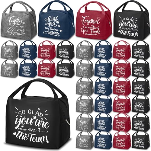 SilTriangle 36 Pcs Employee Appreciation Gifts Bulk Insulated Lunch Bag