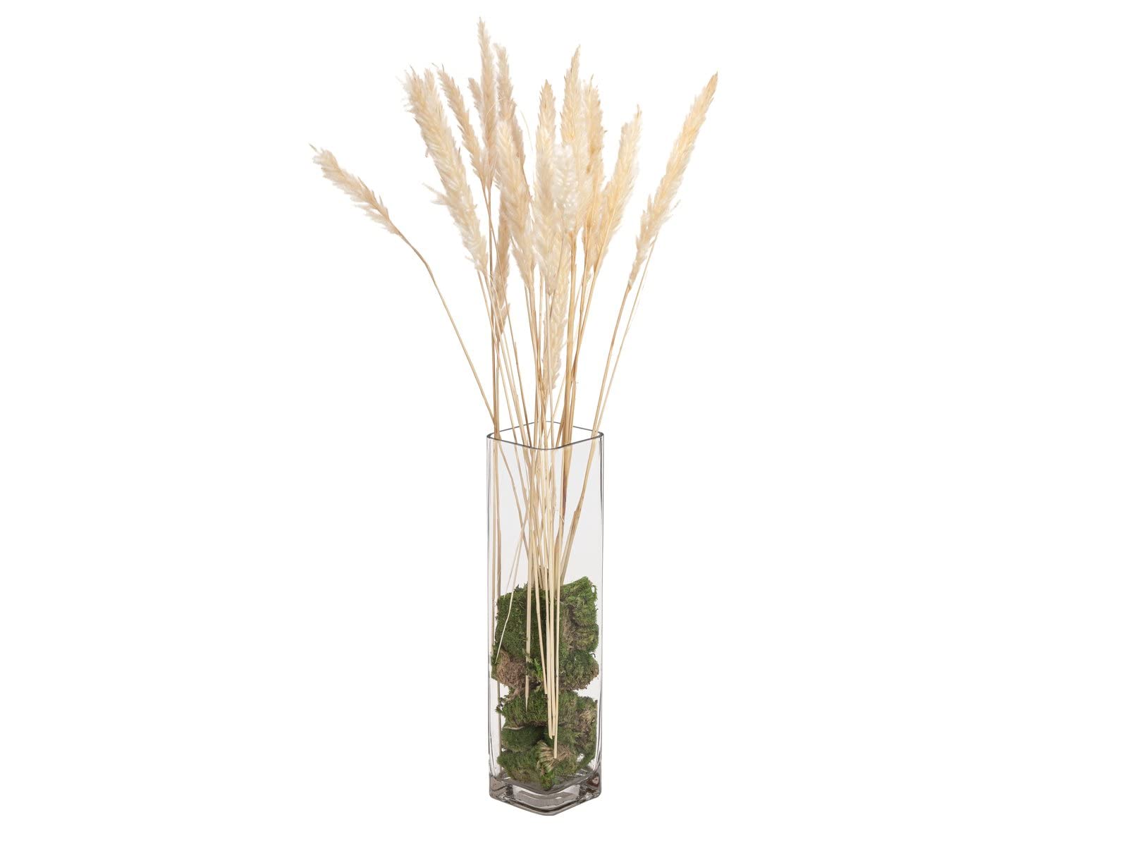 artplants.de Bouquet d'herbe de la Pampa séchée CORNELIO, 75 cm